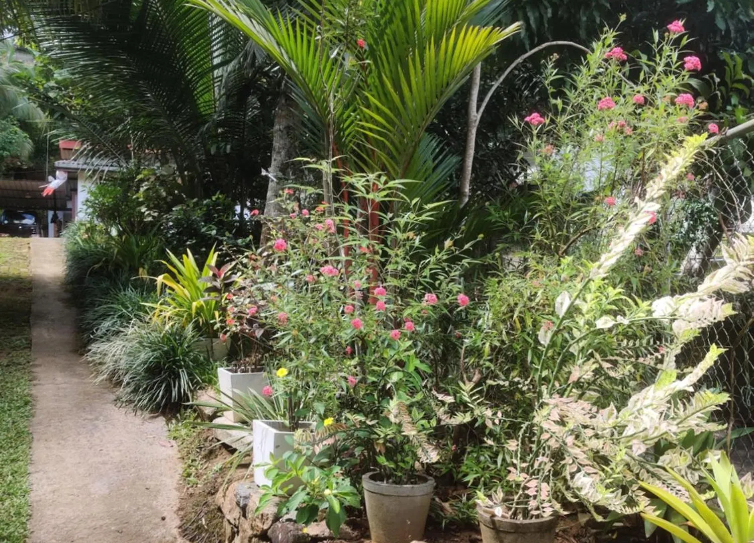 Rum i privatbostad Fruit & Spice Garden Home Stay Kandy Sri Lanka